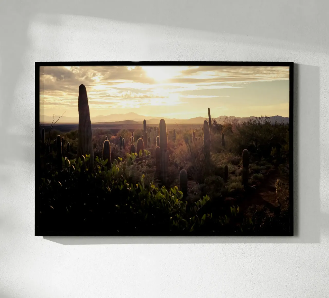 Il deserto del Saguaro in Arizona con paesaggio roccioso poster con telaio in legno da Finch & Frames