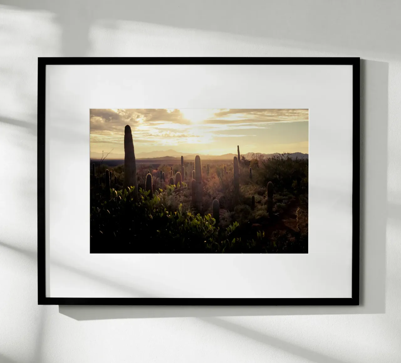 Il deserto del Saguaro in Arizona con paesaggio roccioso poster con telaio in legno da Finch & Frames