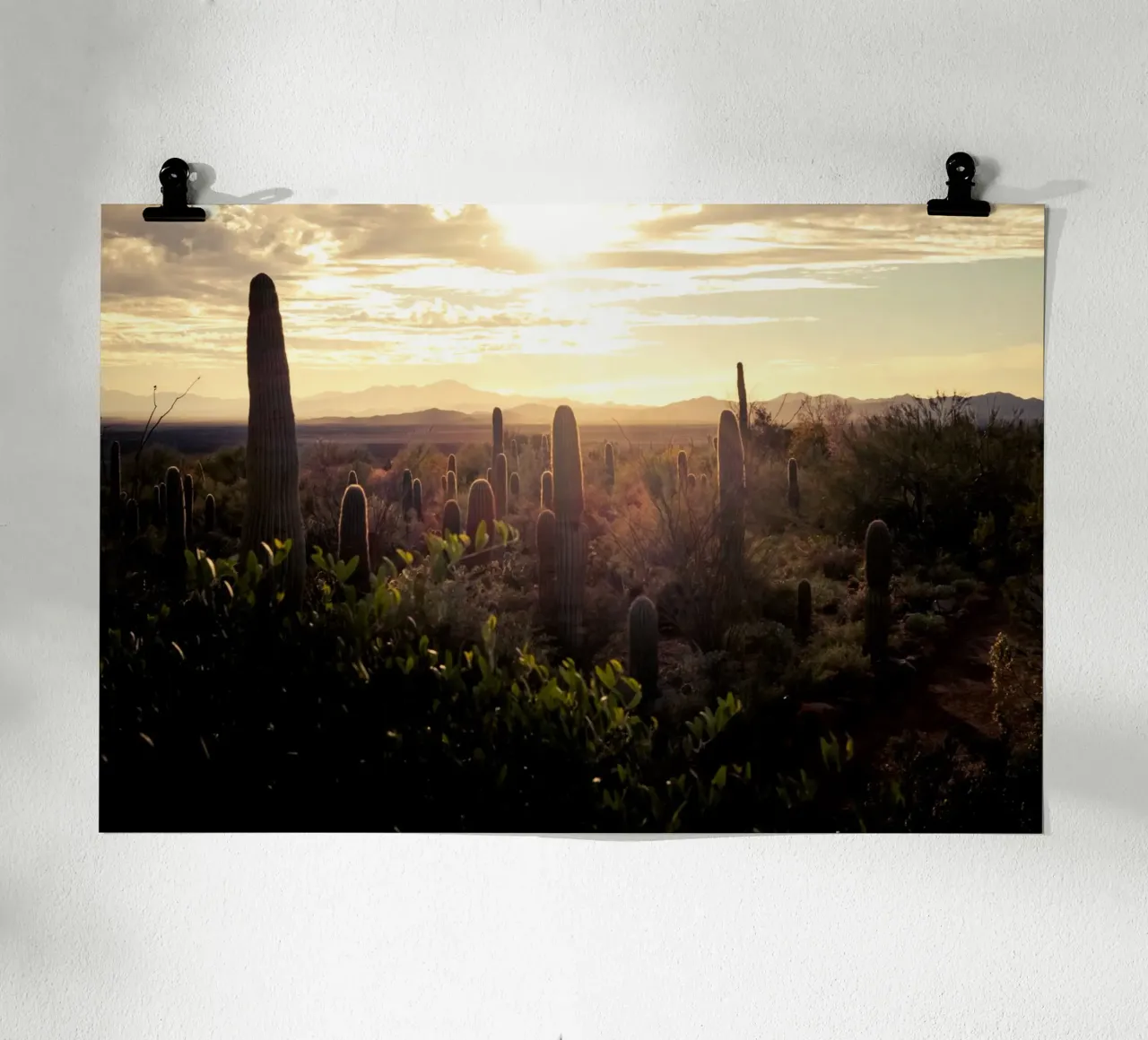 Il deserto del Saguaro in Arizona con paesaggio roccioso poster con telaio in legno da Finch & Frames