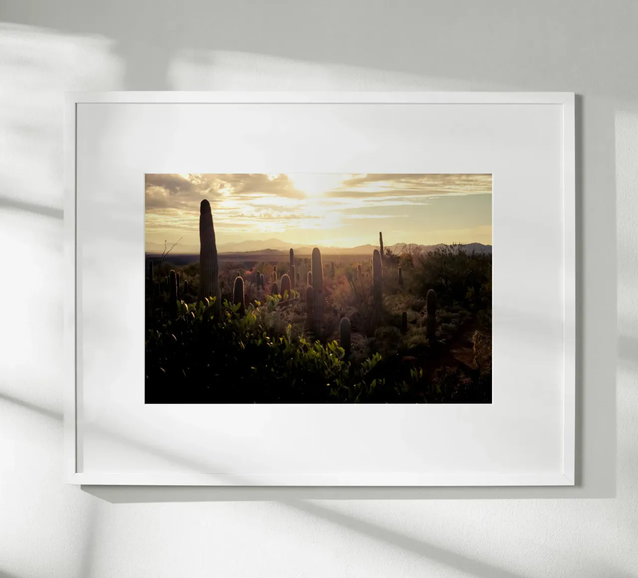 Il deserto del Saguaro in Arizona con paesaggio roccioso poster con telaio in legno da Finch & Frames