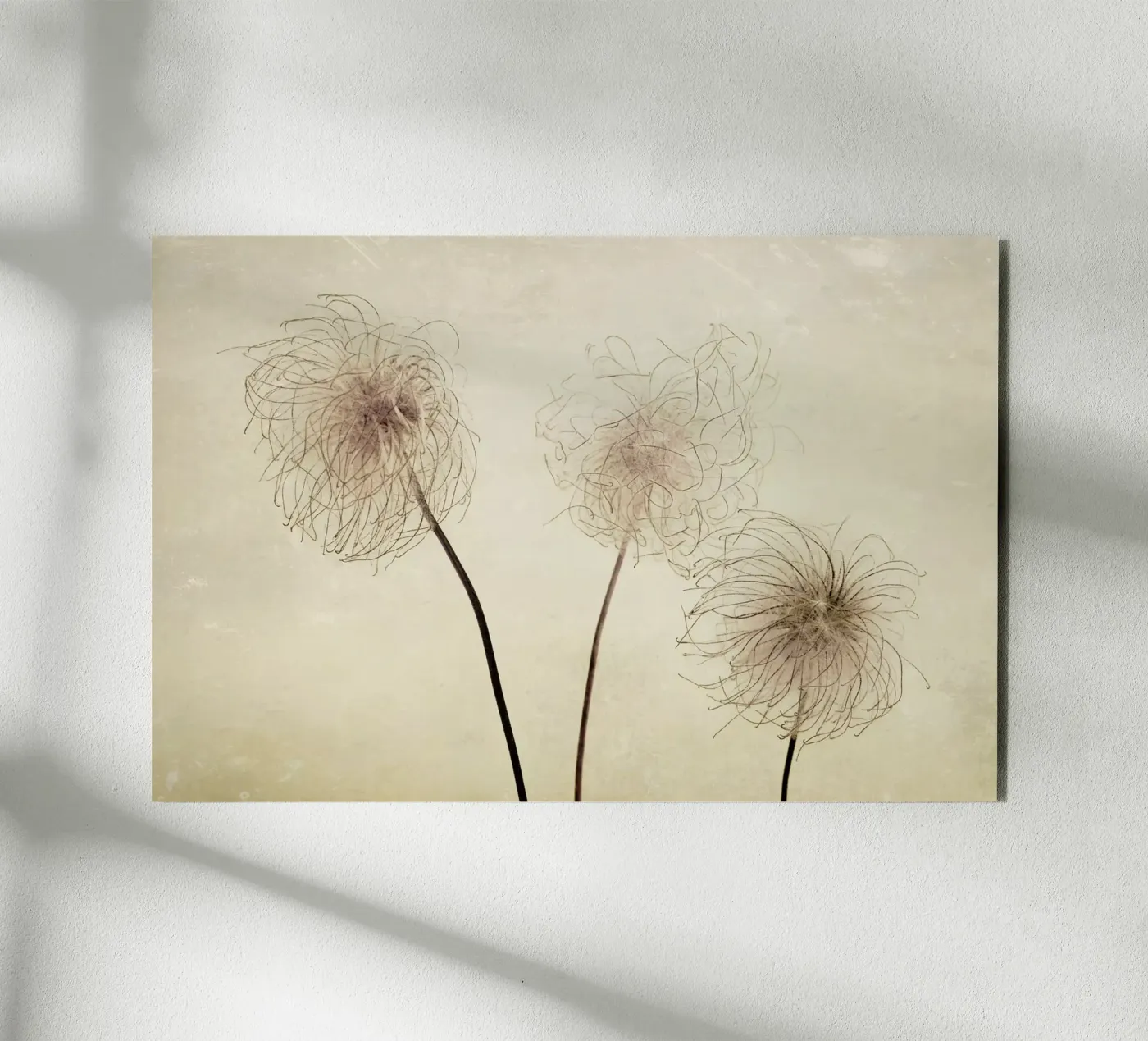 three pannello forex da Visuelle Poesie am Wegesrand