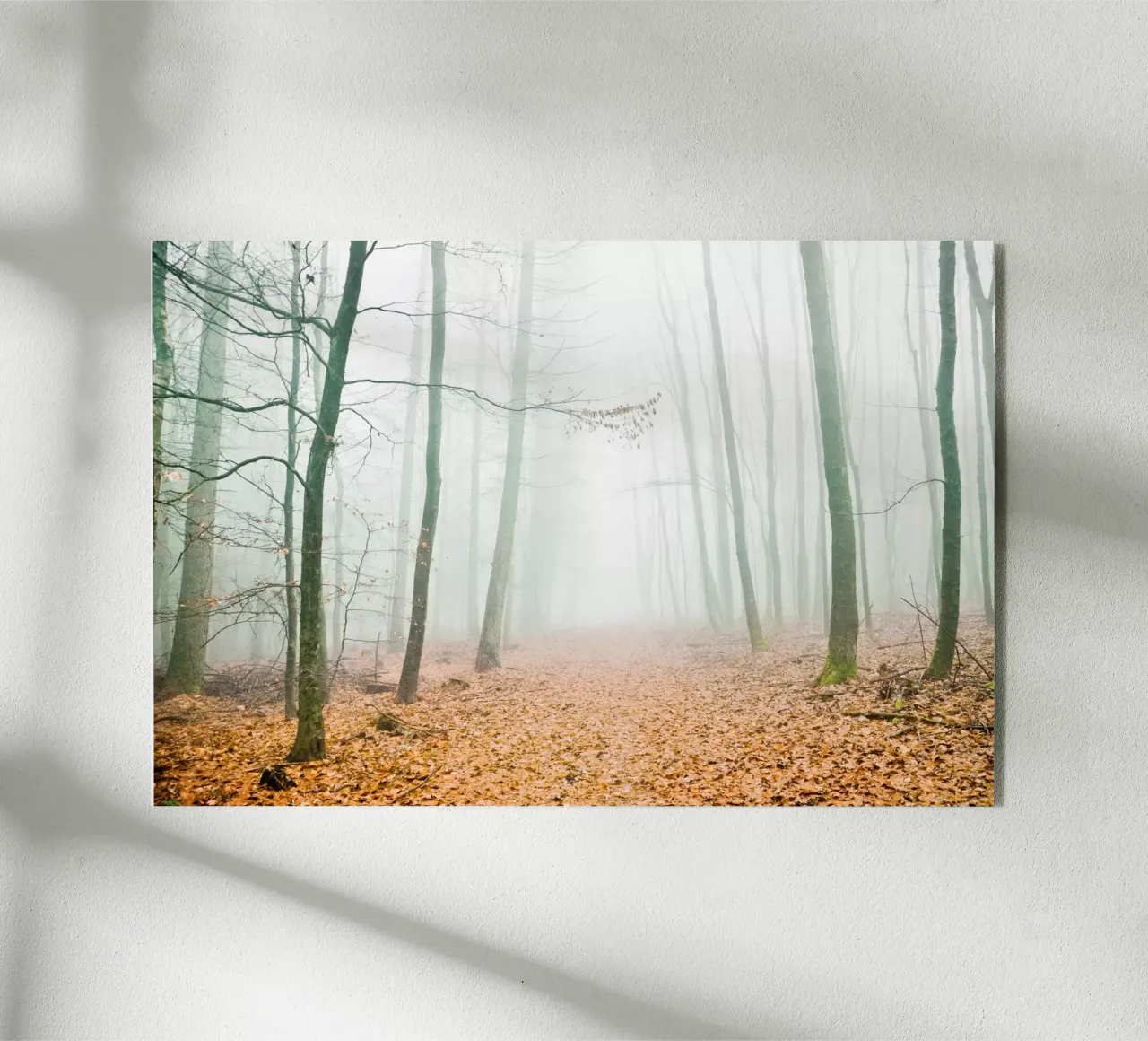 calm plexiglass da Visuelle Poesie am Wegesrand