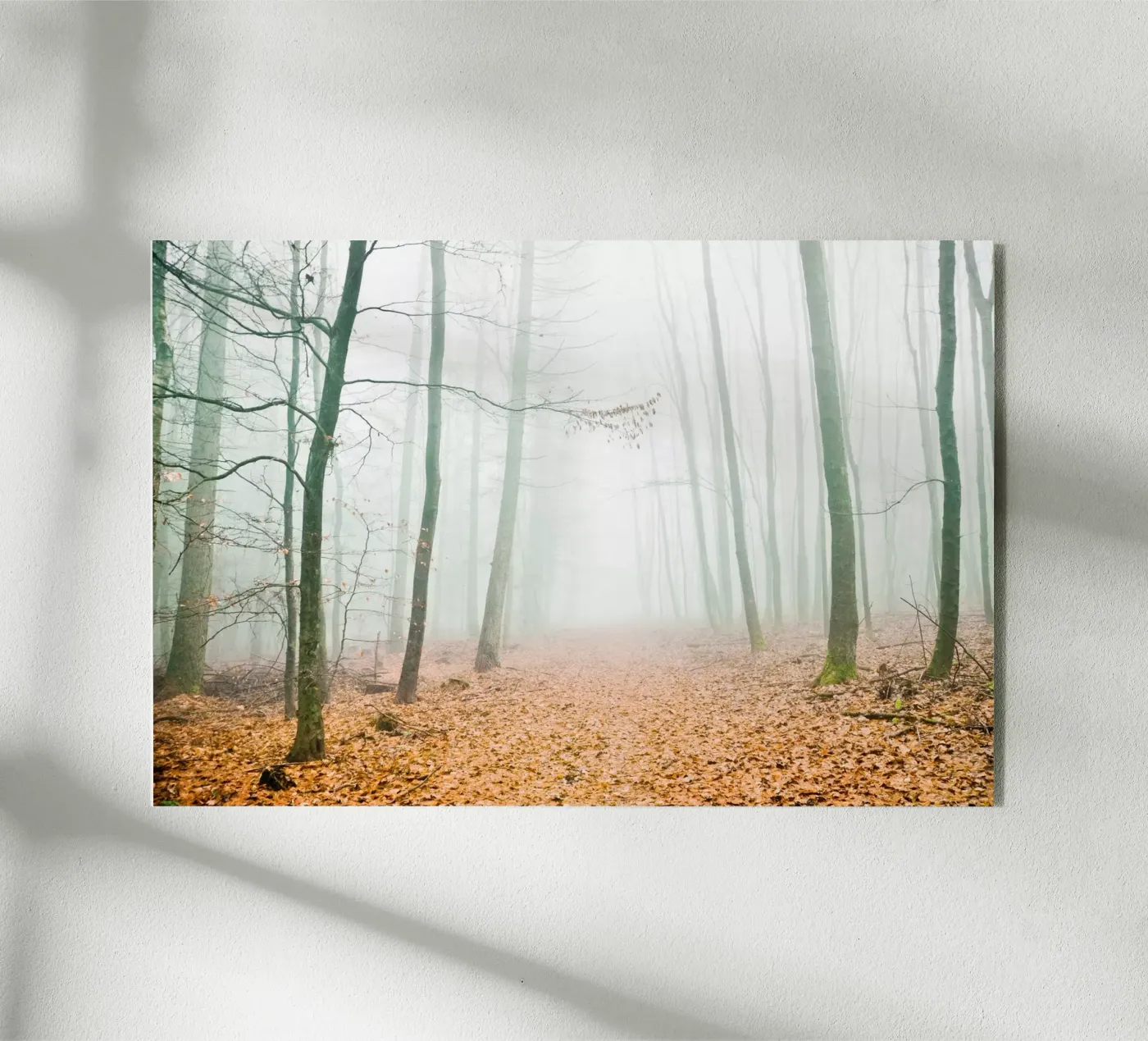 calm plexiglas de Visuelle Poesie am Wegesrand