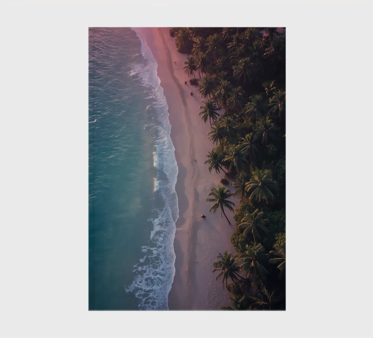 Aerial View of Beach with Palm Trees and Ocean Waves notebook by DesignDoodle