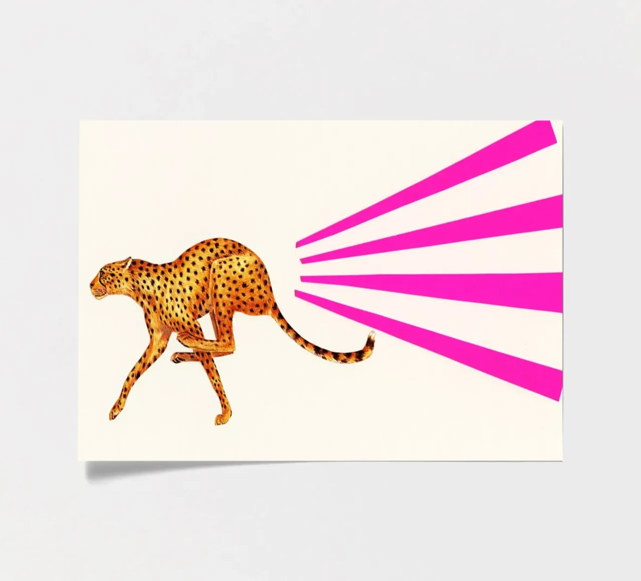 Cheetah sticker sheet by Cassia Beck Collage