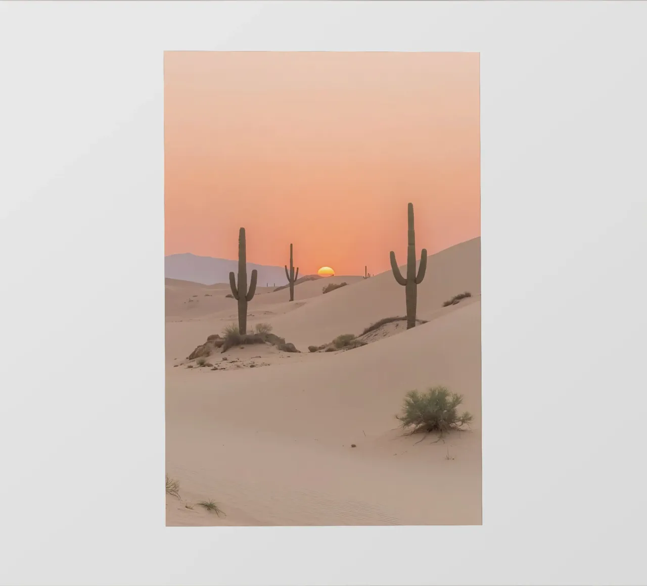 Paesaggio desertico con dune di cactus Saguaro e tramonto pellicola backlit da DesignDoodle