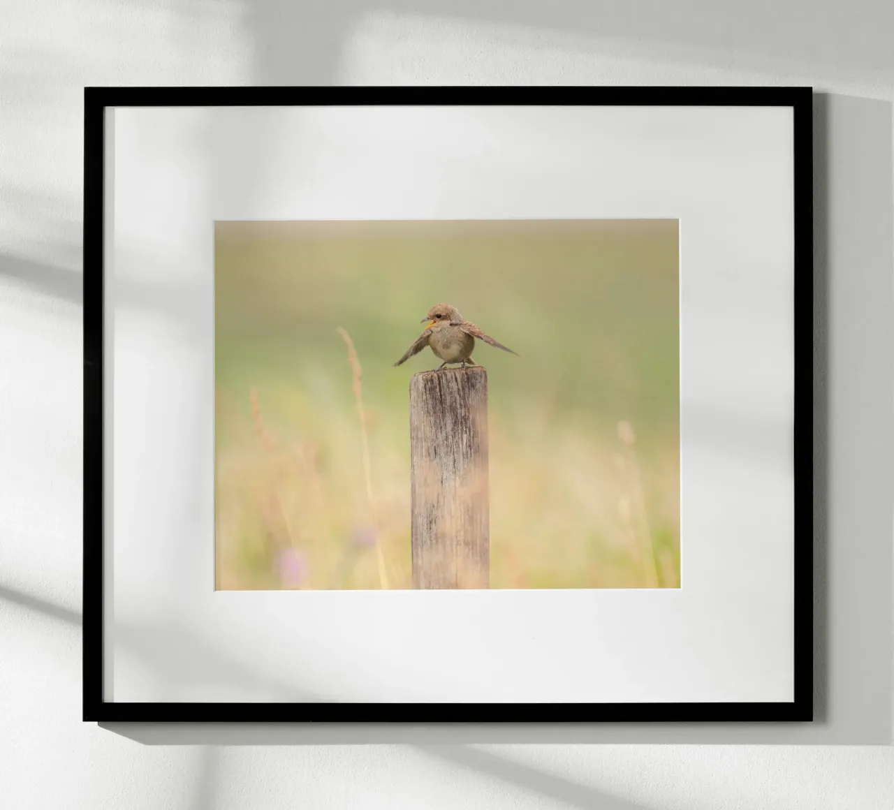 single bird on wood poster da kichin