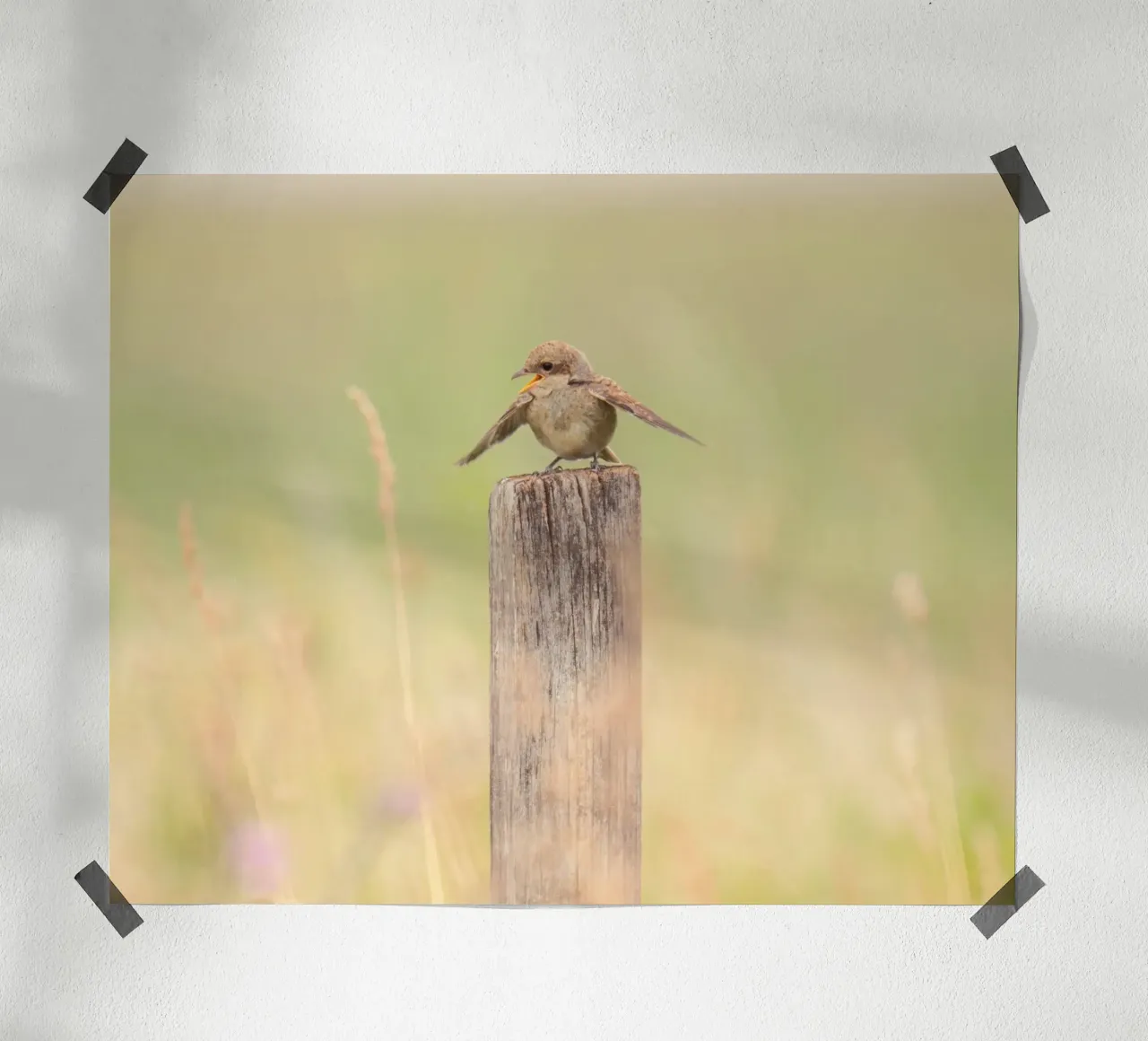 single bird on wood poster da kichin