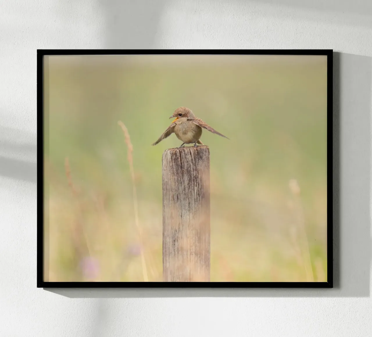 single bird on wood poster da kichin