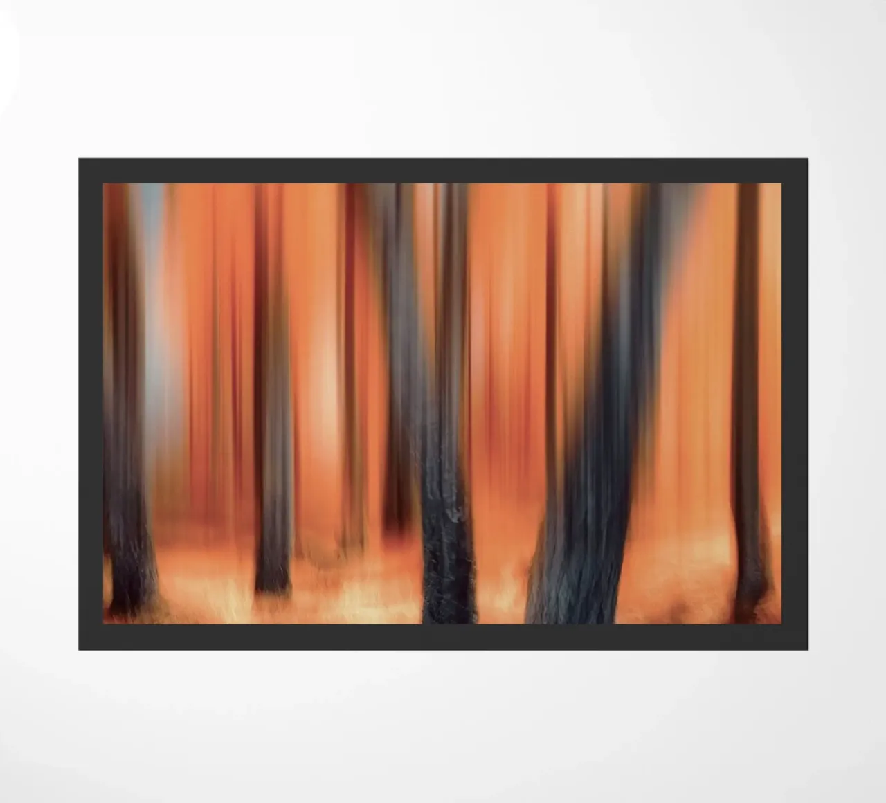 the color forest zerbino da kichin