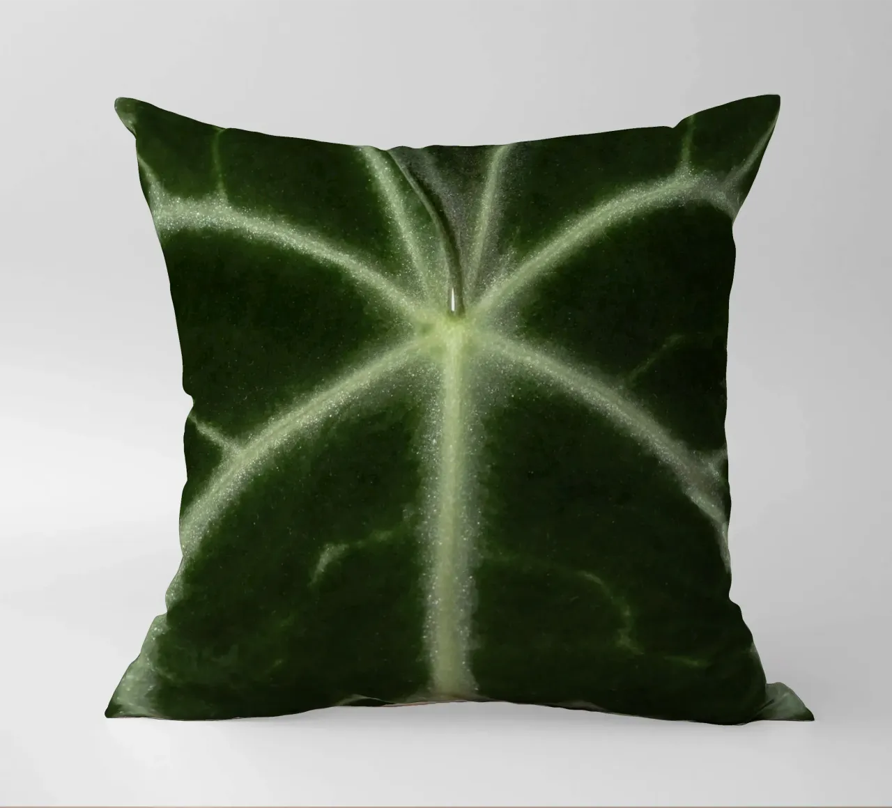 the leaf bone cuscino da carsa