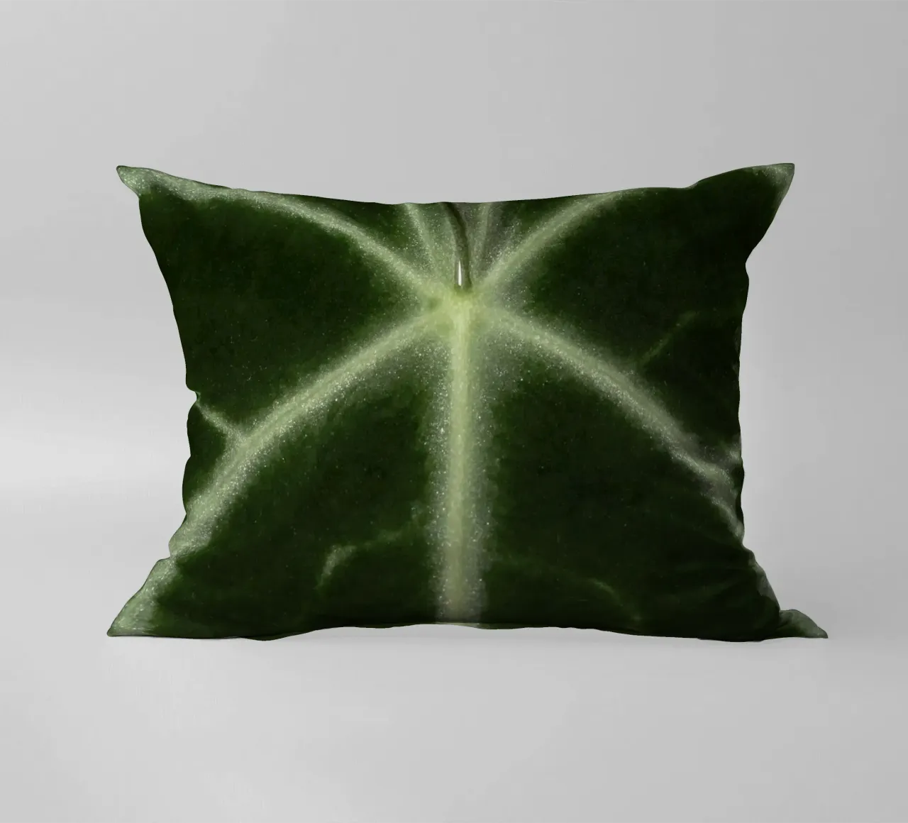 the leaf bone cuscino da carsa