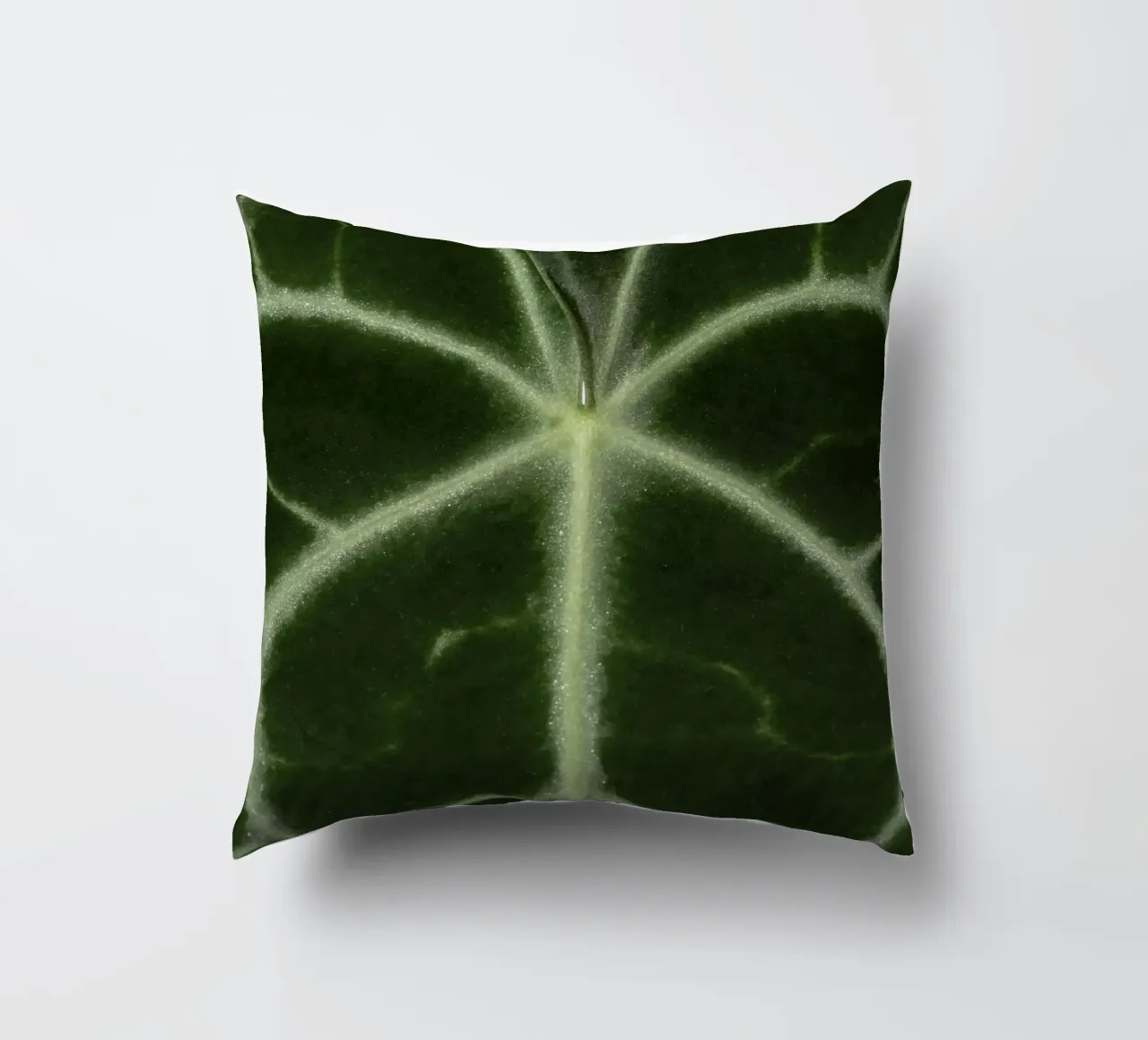the leaf bone cuscino da carsa