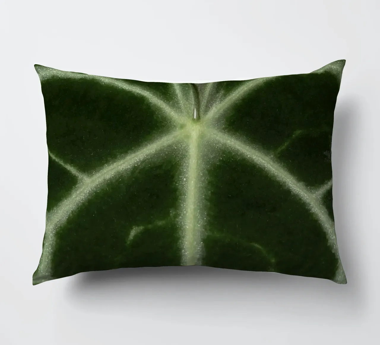 the leaf bone cuscino da carsa