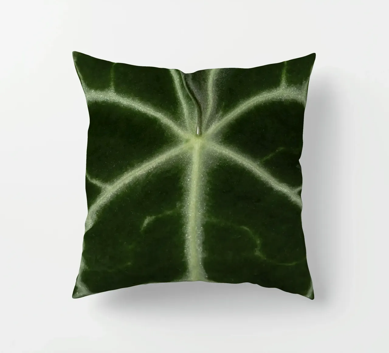 the leaf bone cuscino da carsa