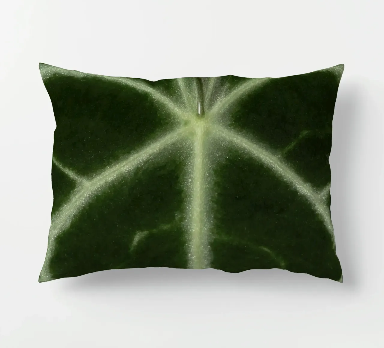 the leaf bone cuscino da carsa
