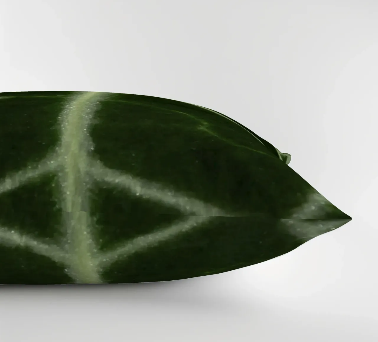 the leaf bone cuscino da carsa