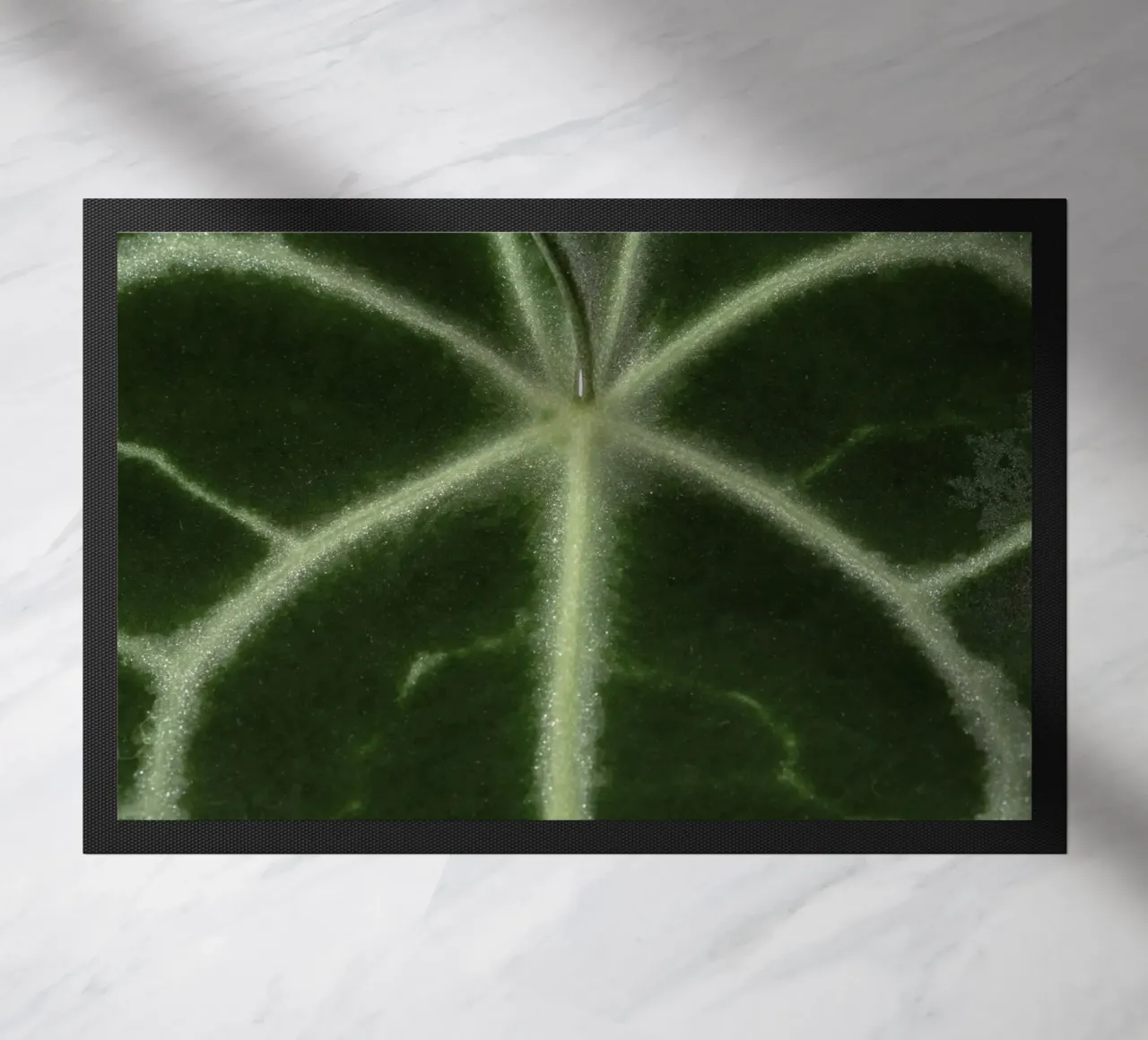 the leaf bone zerbino da carsa