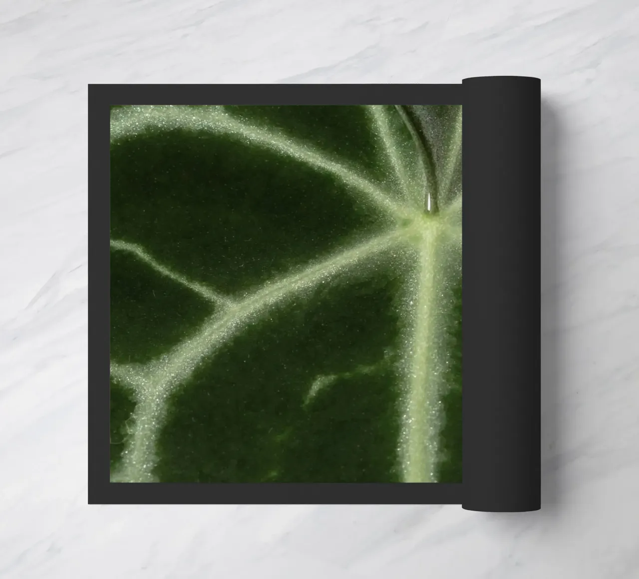 the leaf bone zerbino da carsa