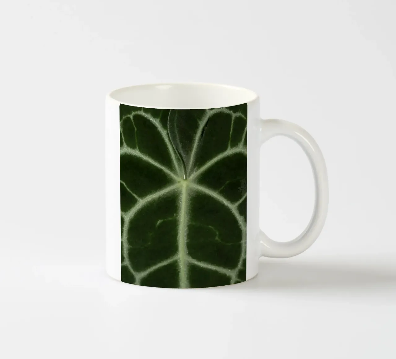 the leaf bone tazza in ceramica da carsa
