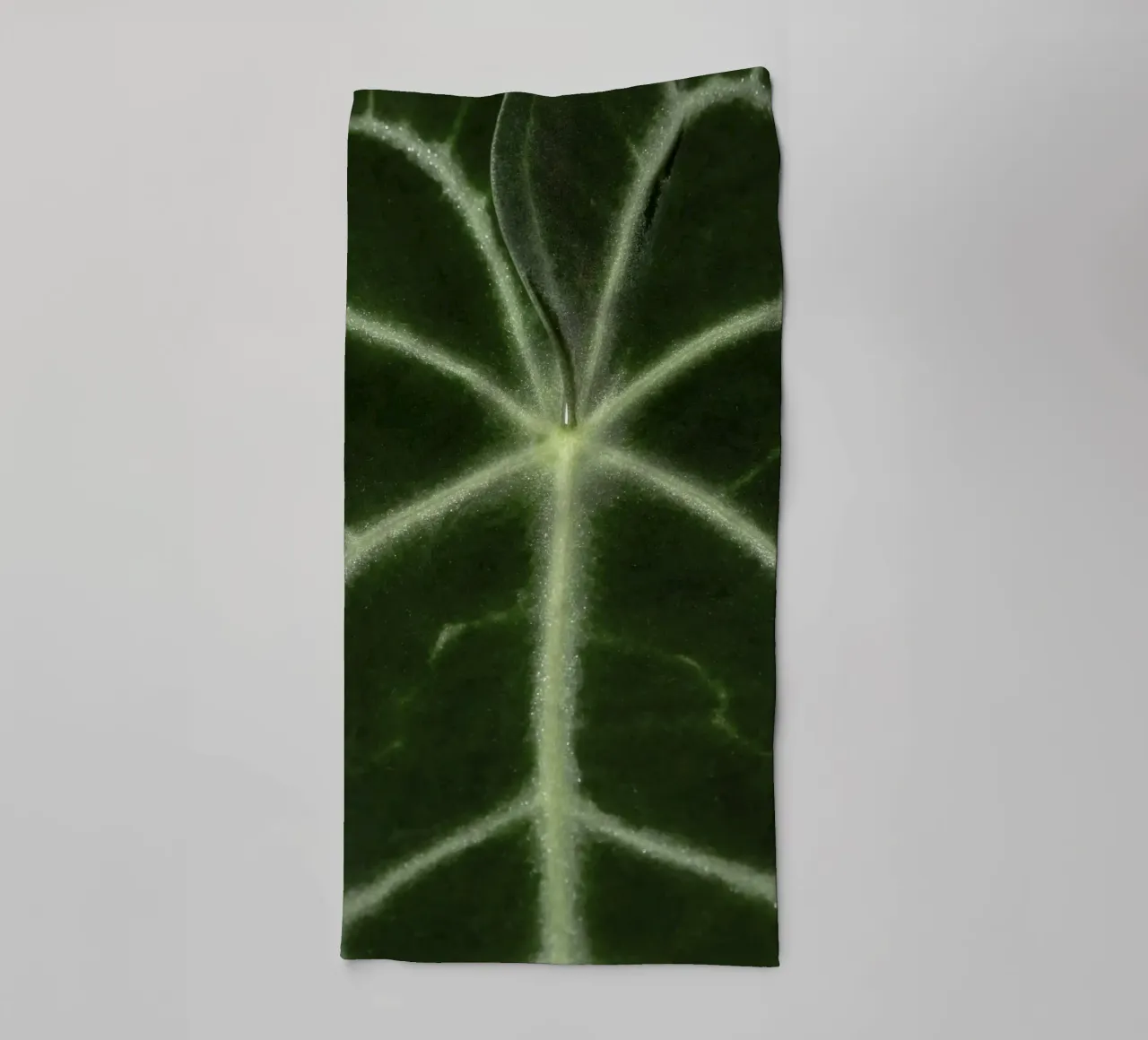 the leaf bone asciugamano da bagno da carsa