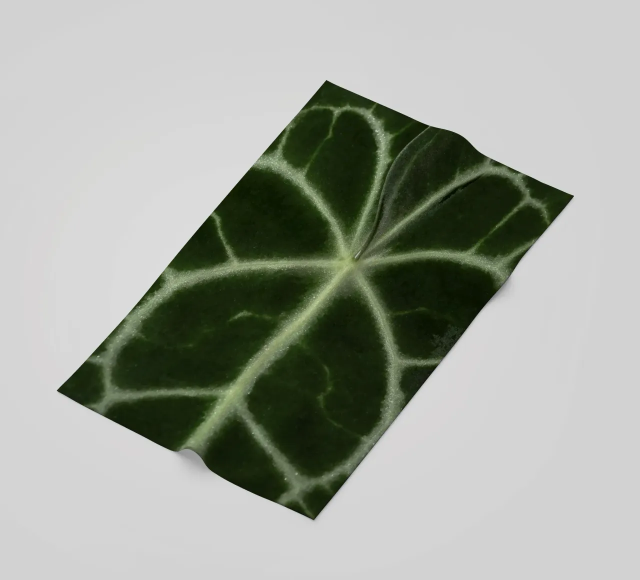 the leaf bone telo mare da carsa