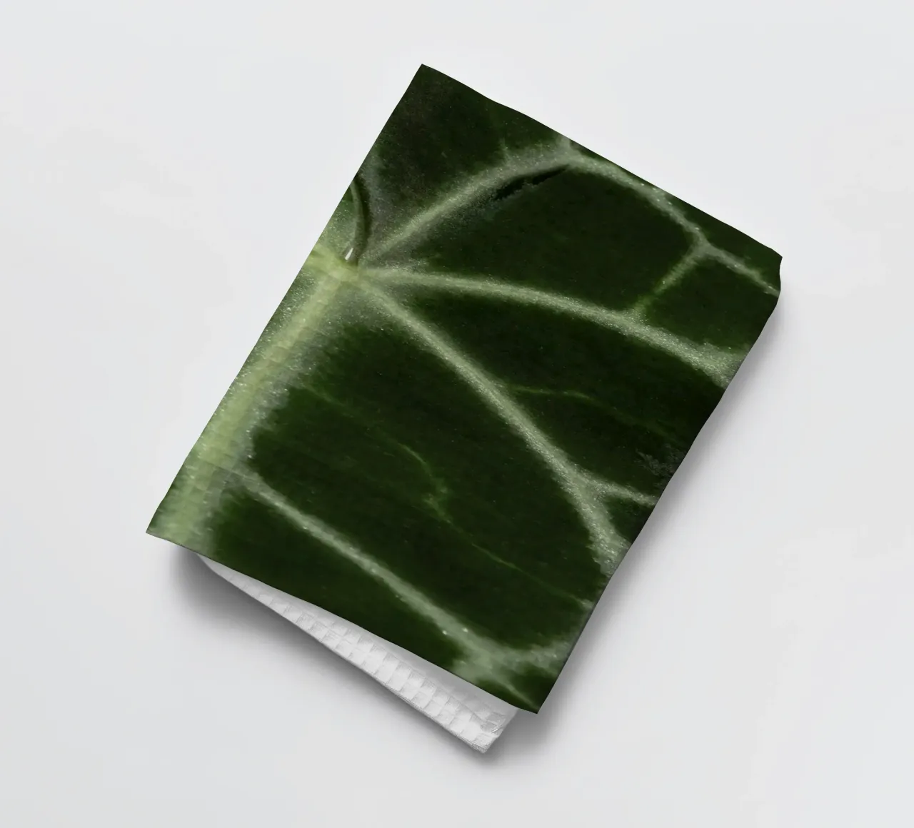 the leaf bone canovaccio da cucina da carsa