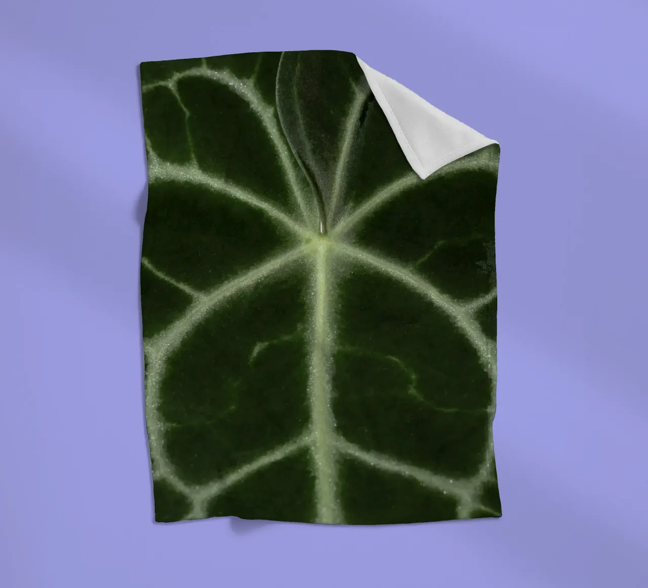 the leaf bone coperta in pile da carsa