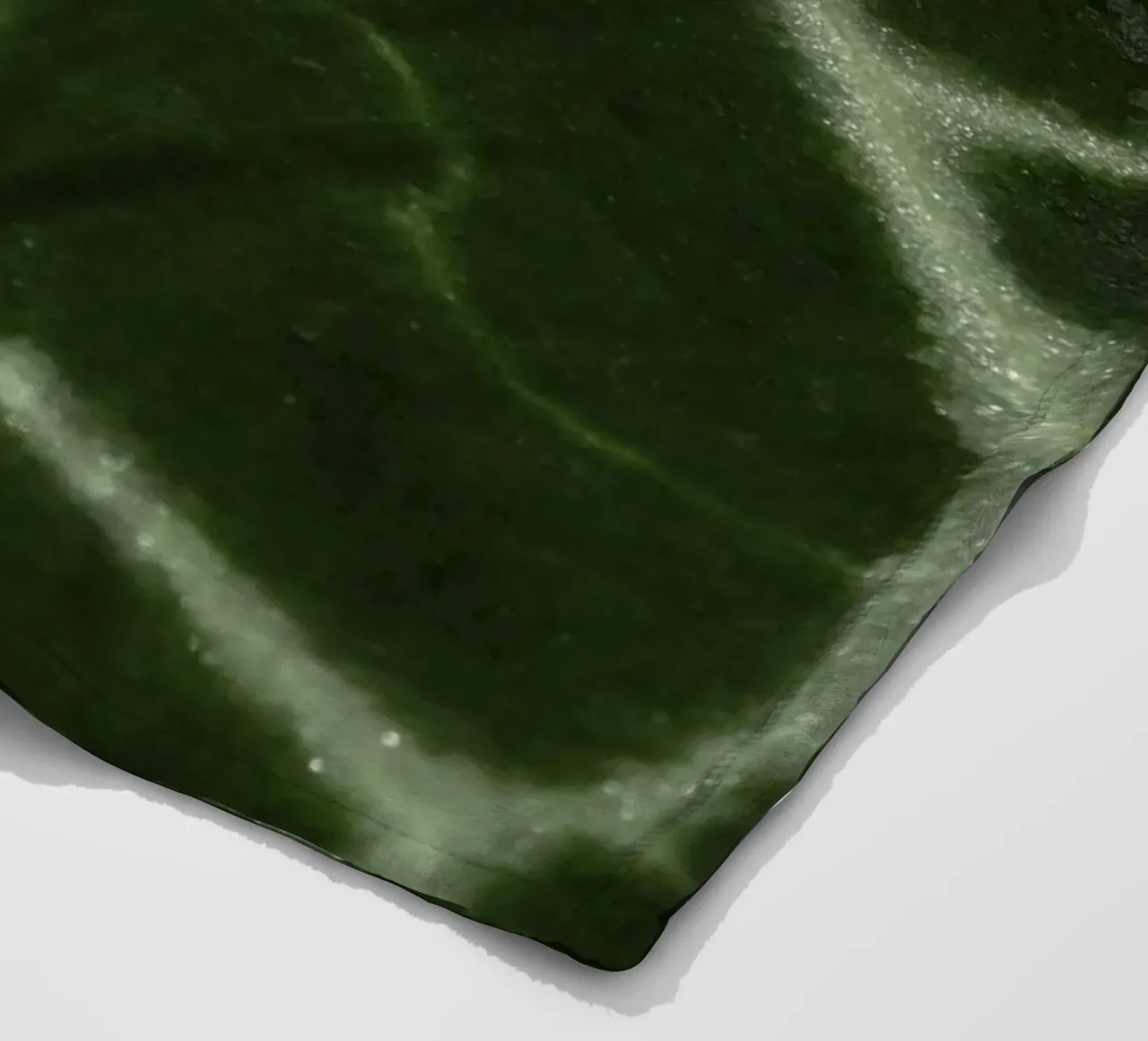 the leaf bone coperta in pile da carsa