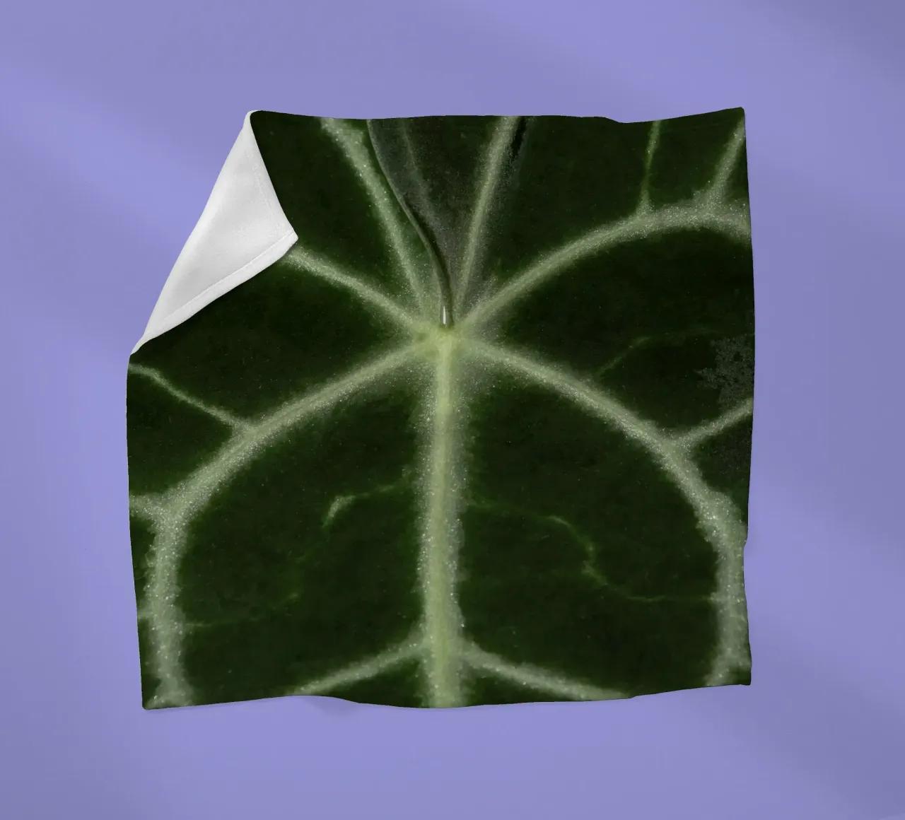 the leaf bone coperta in pile da carsa
