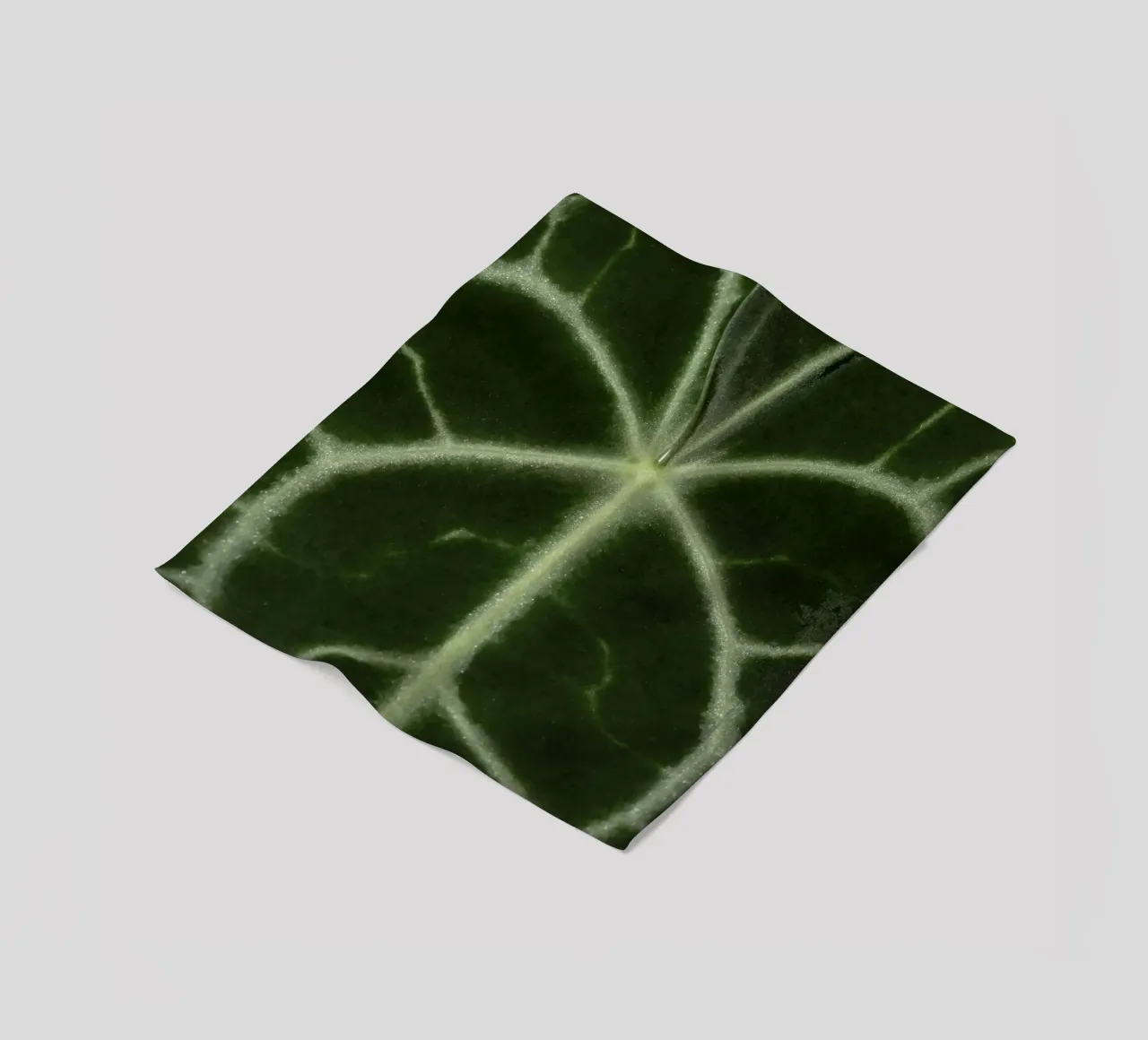 the leaf bone coperta in pile da carsa