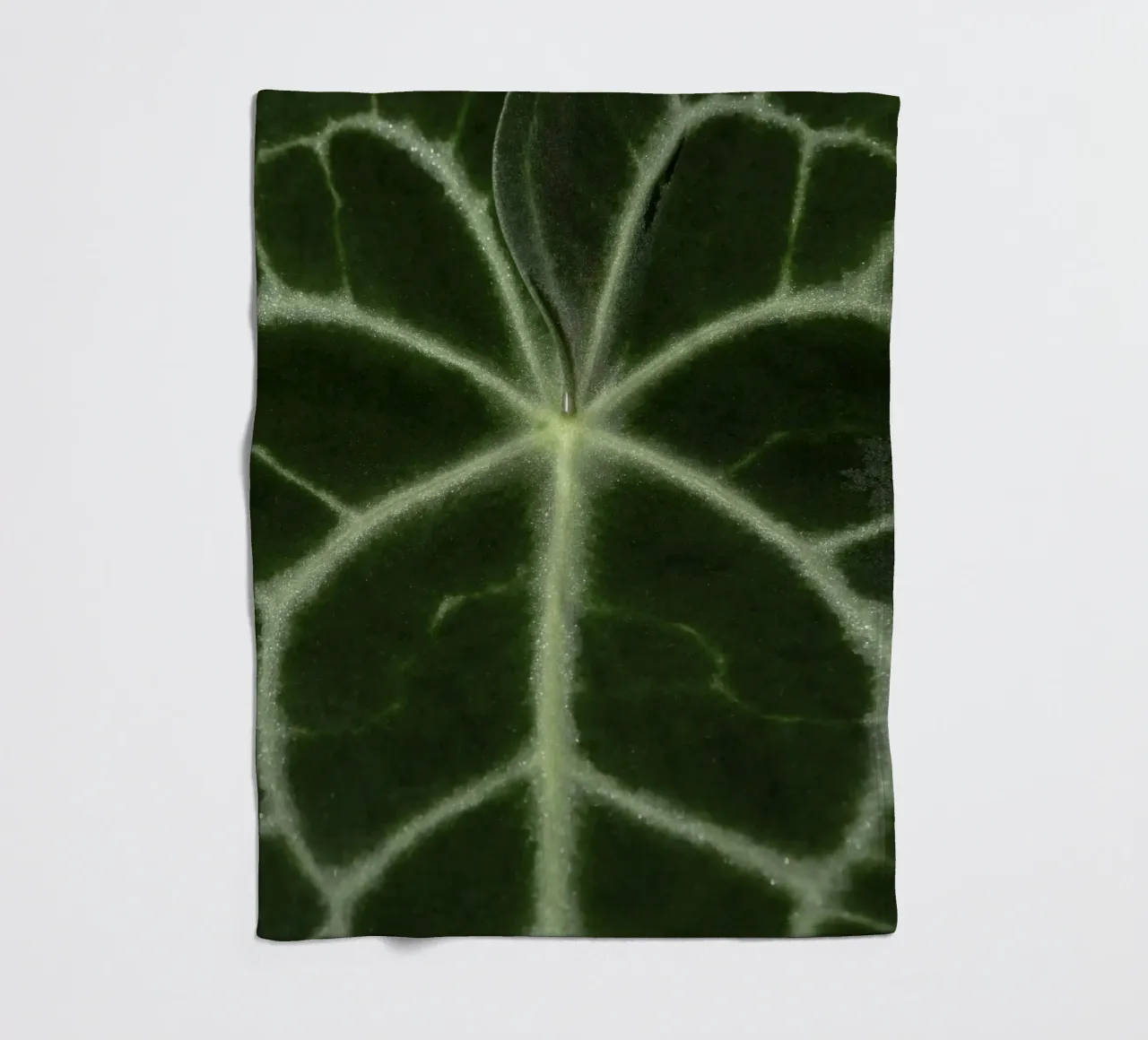 the leaf bone coperta in pile da carsa
