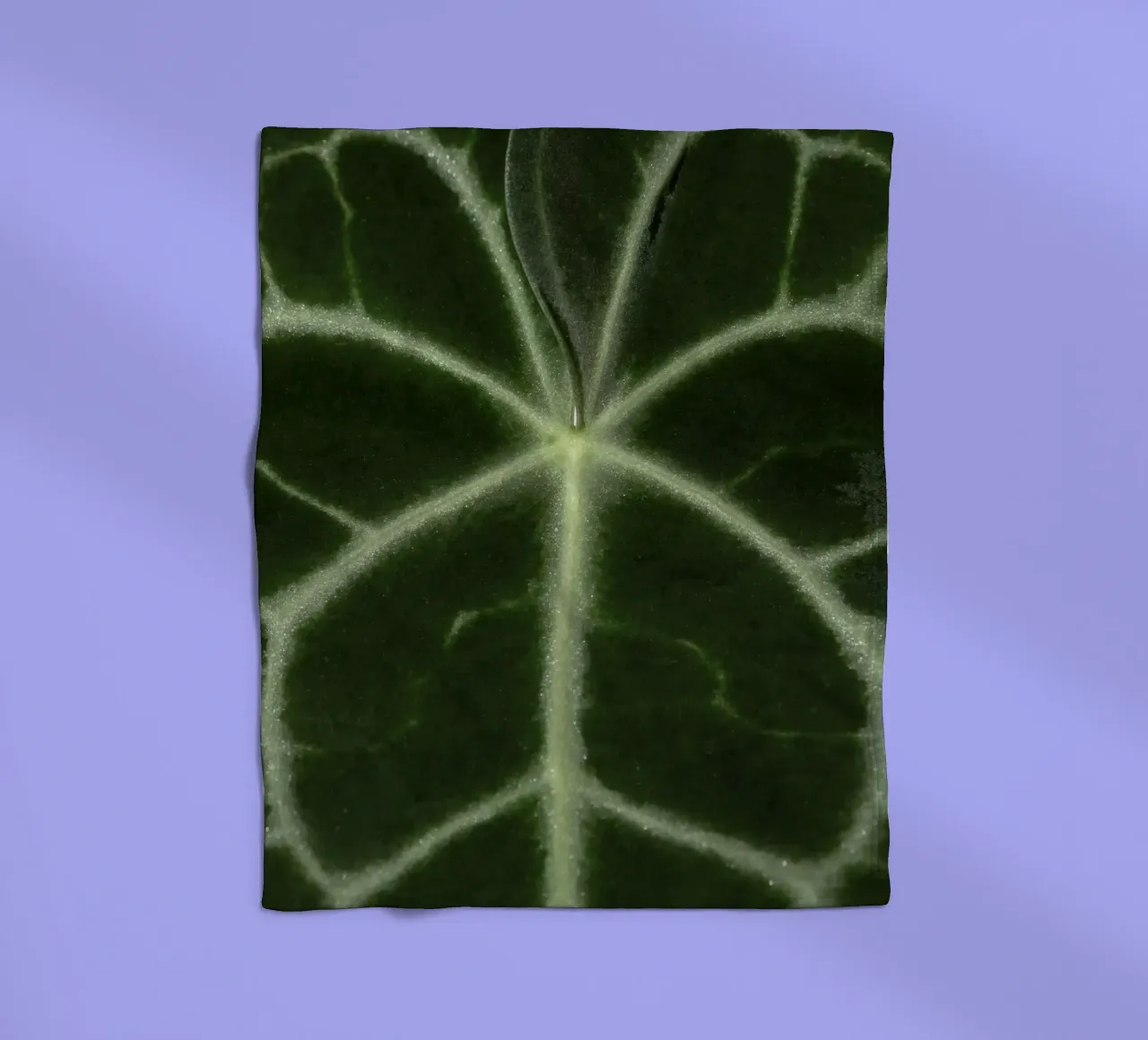 the leaf bone coperta in pile da carsa