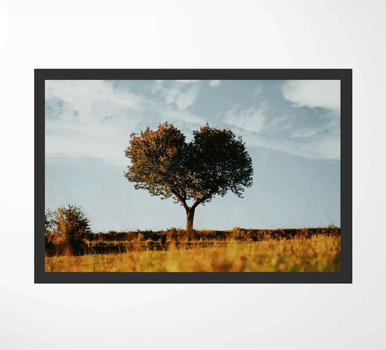 heart tree zerbino da carsa