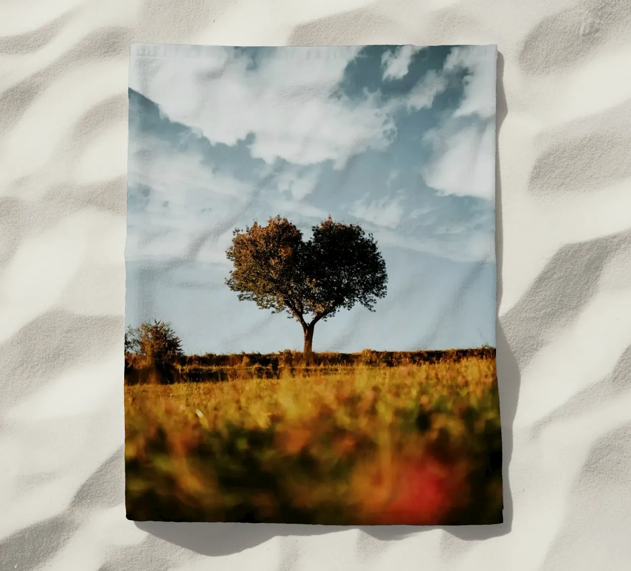 heart tree telo mare da carsa