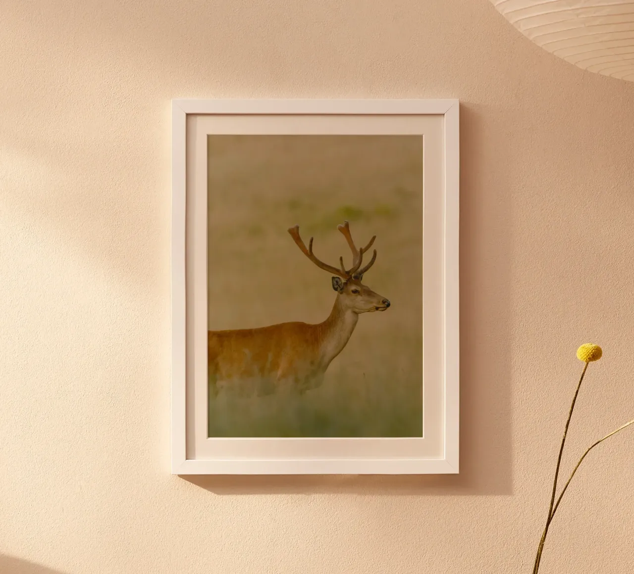 the deer in sunset poster con telaio in plastica da carsa