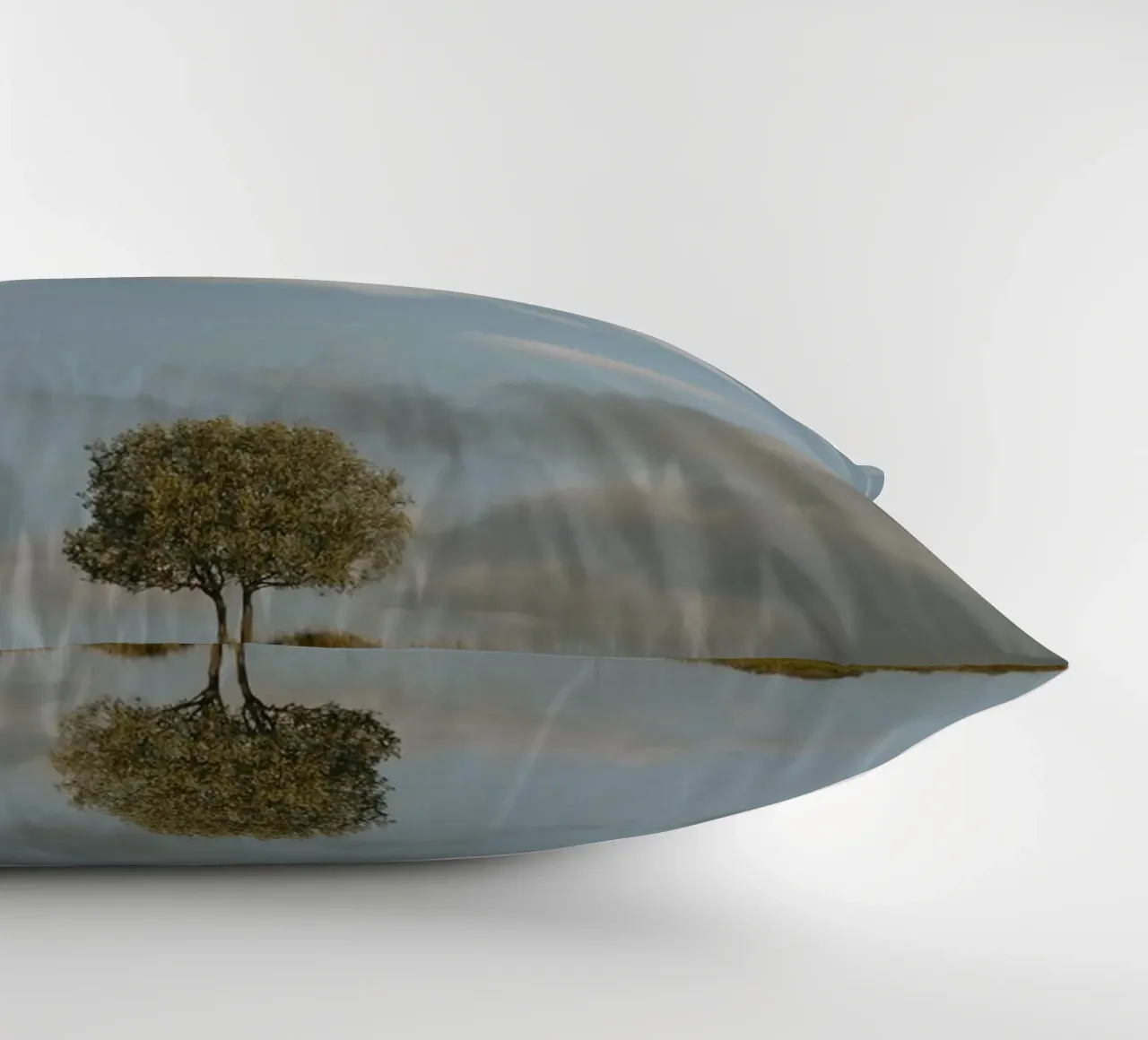 small tree in the space cuscino da carsa