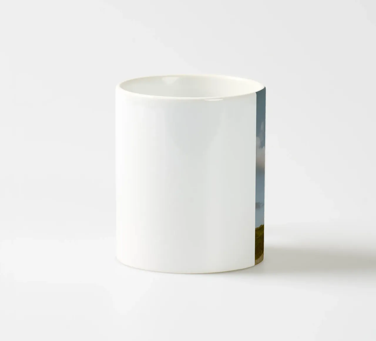 small tree in the space tazza in ceramica da carsa