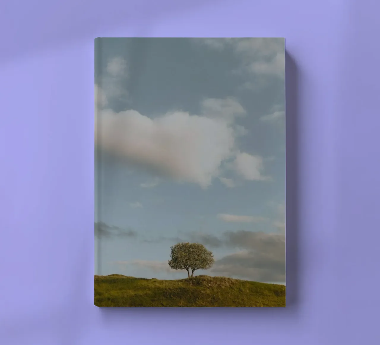 small tree in the space notebook by carsa