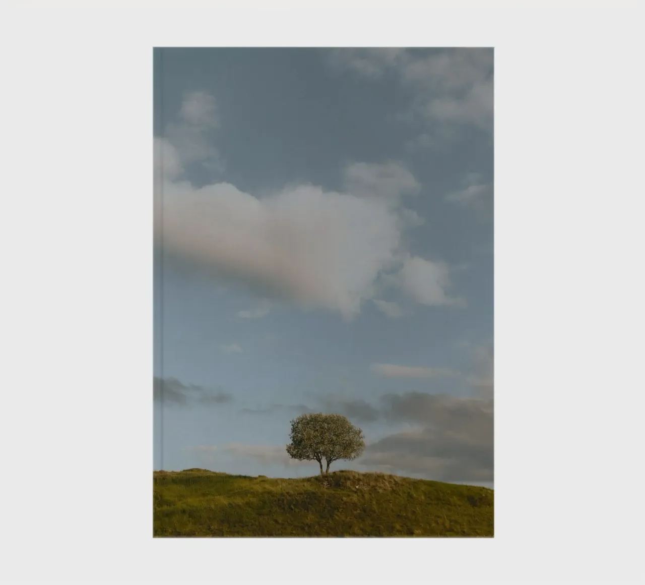 small tree in the space notebook by carsa