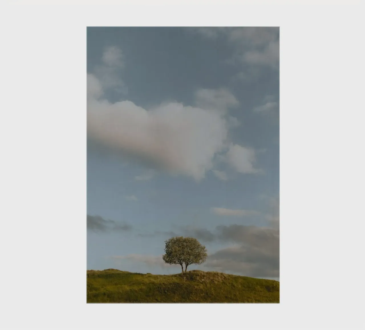 small tree in the space notebook by carsa