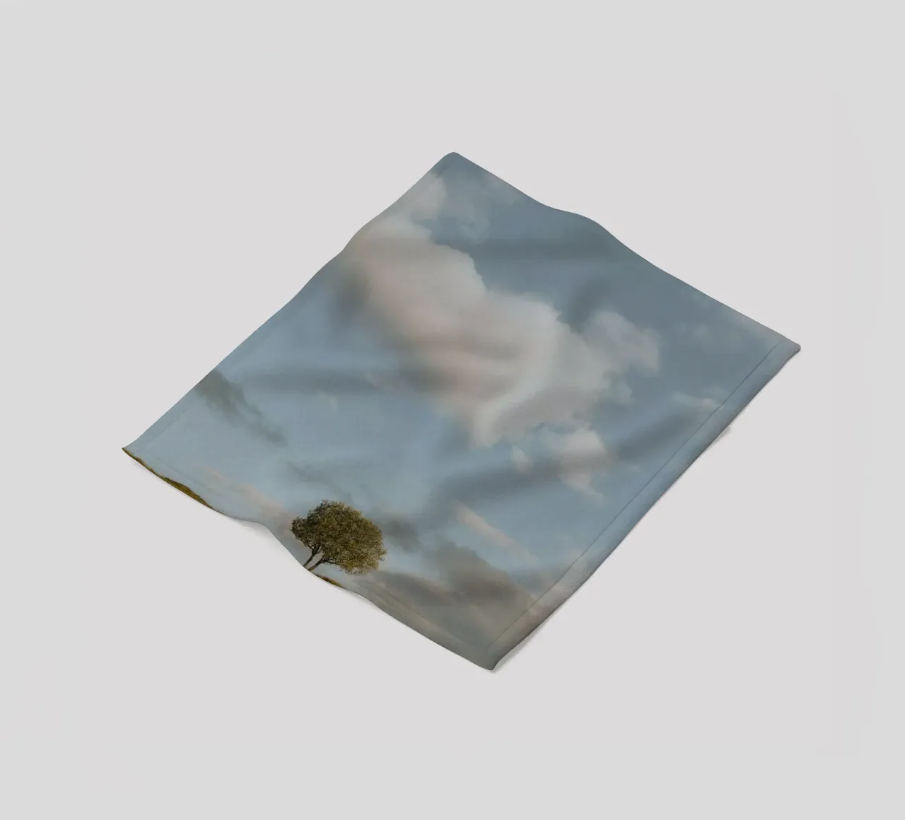small tree in the space coperta in pile da carsa