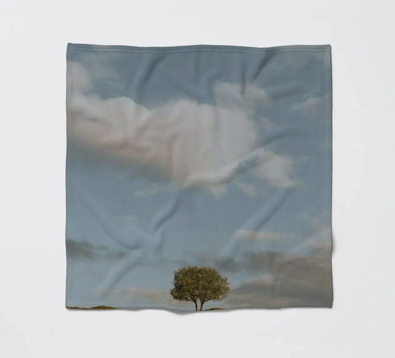 small tree in the space coperta in pile da carsa