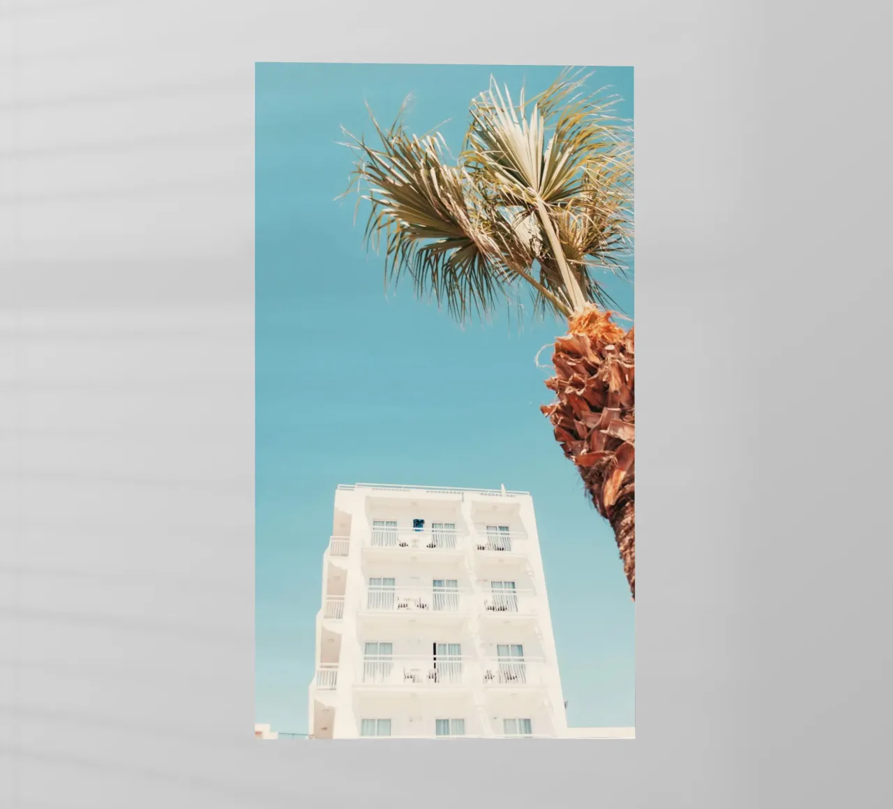 building with palm pellicola backlit da mip of map
