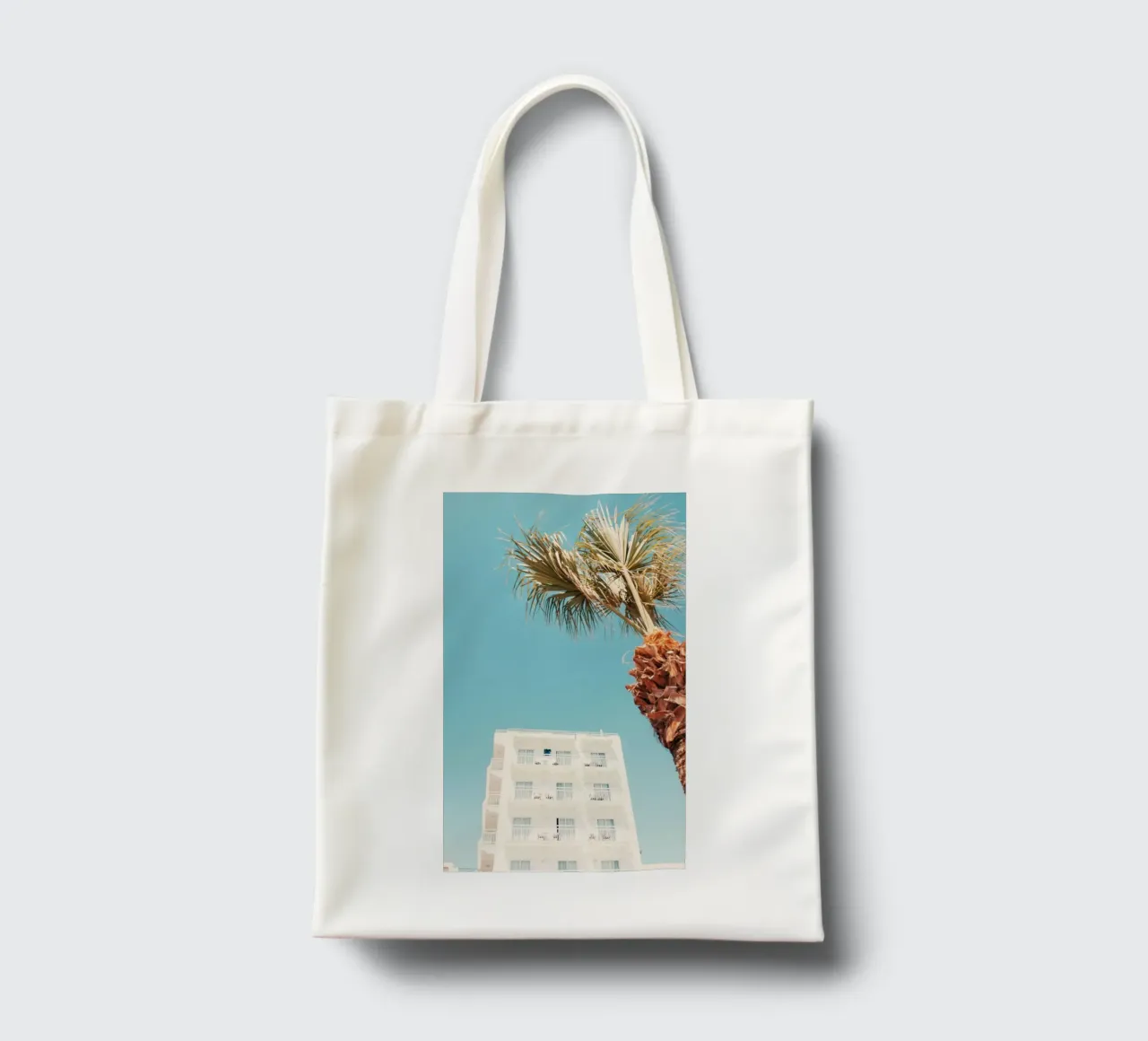 building with palm borsa in juta da mip of map