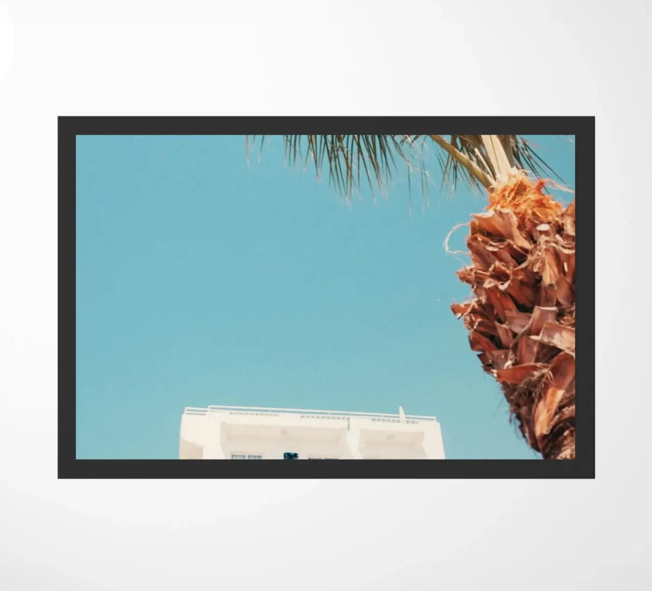 building with palm zerbino da mip of map