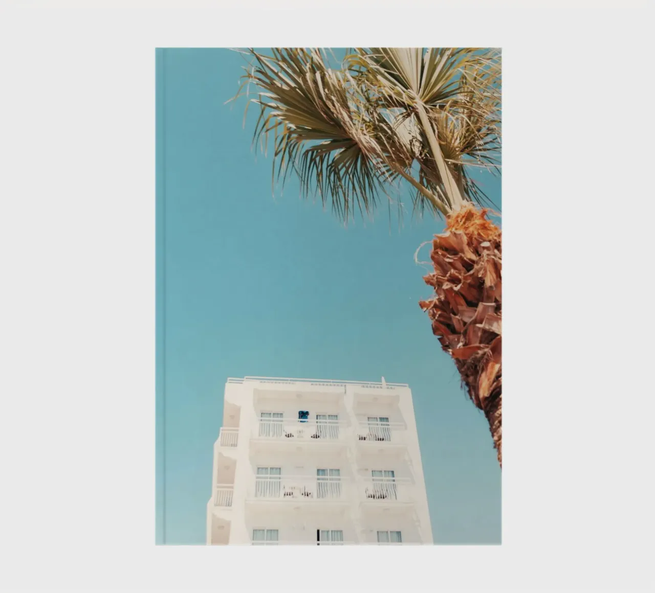 building with palm notebook by mip of map