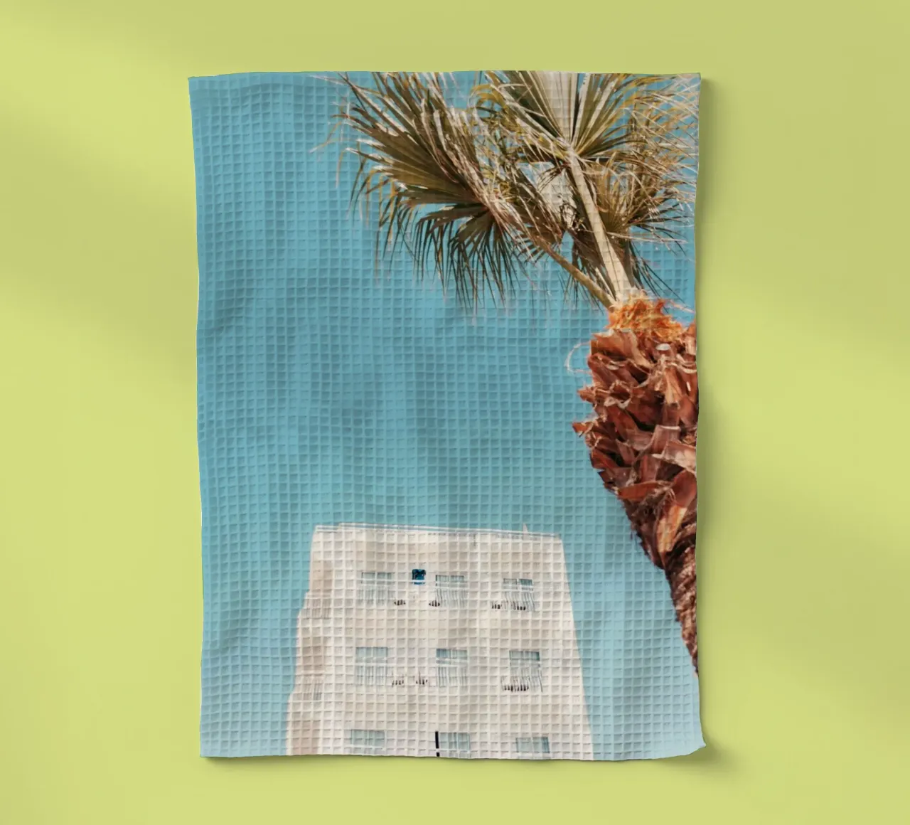 building with palm canovaccio da cucina da mip of map