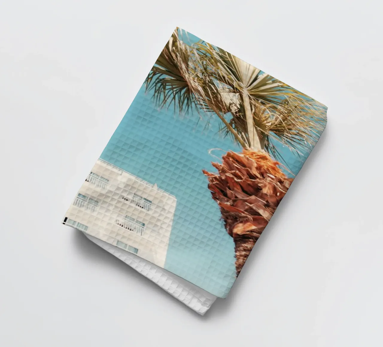 building with palm canovaccio da cucina da mip of map