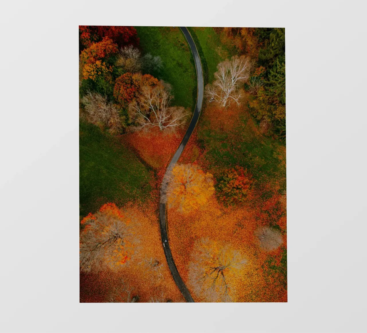 curve road in blossom forest pellicola backlit da Good days